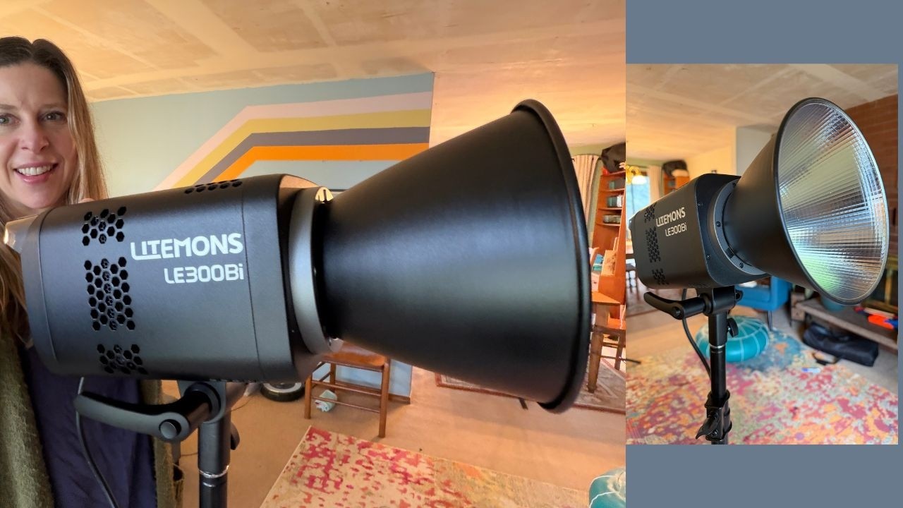 Лучший недорогой студийный светильник? Godox LE300 Bi