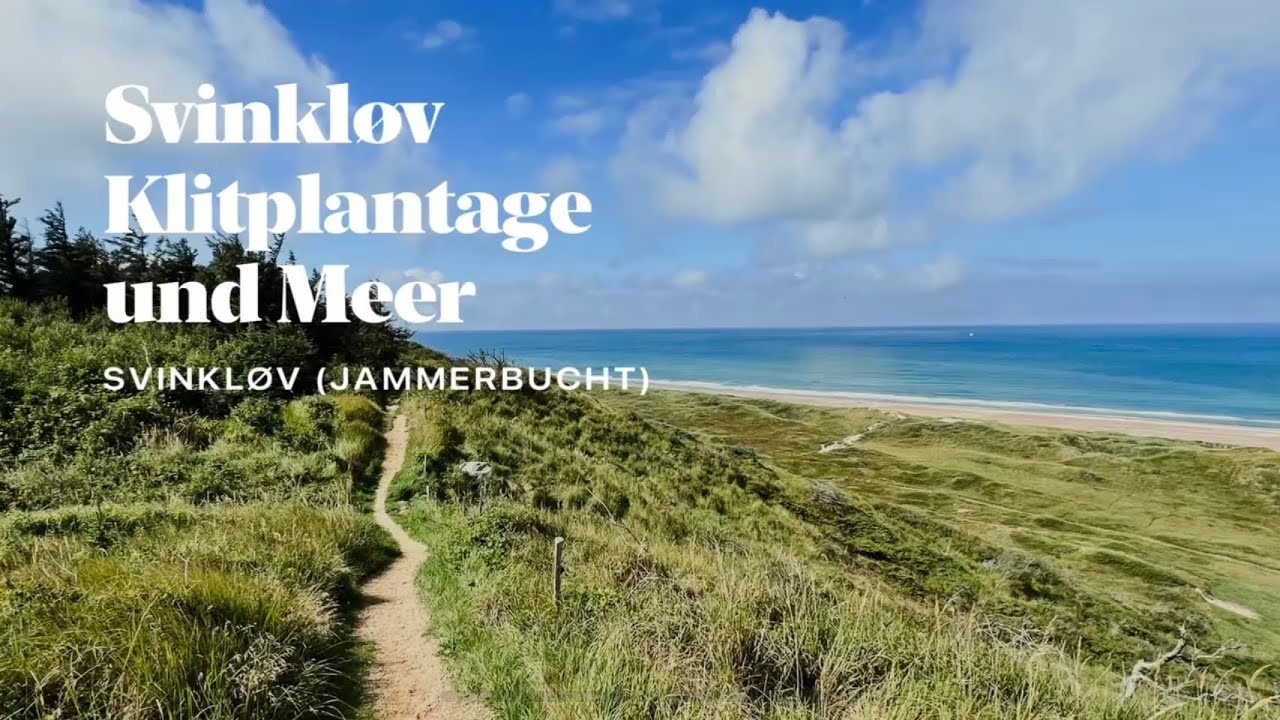 🇩🇰 Svinkløv Klitplantage und Meer