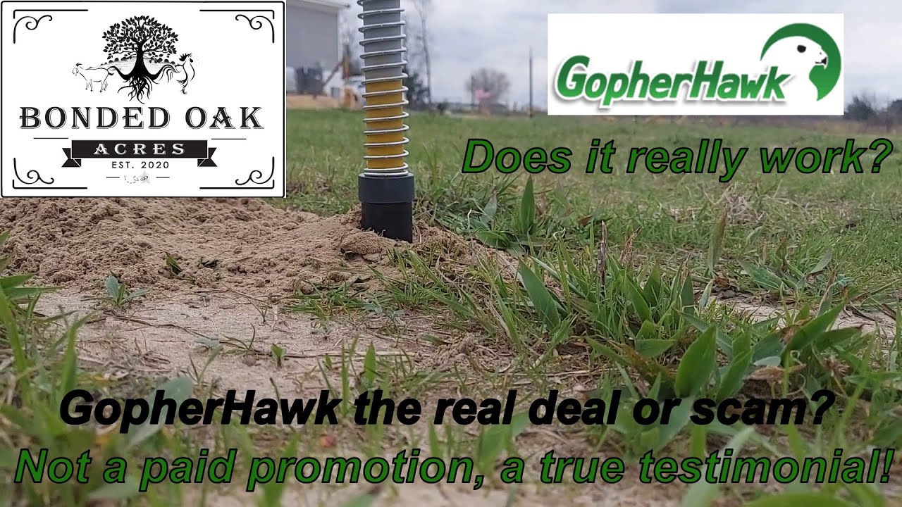 Это не платная реклама, обзор Gopher Hawk! #bondedoakacres #farmlife #VLOG #gopherhawk