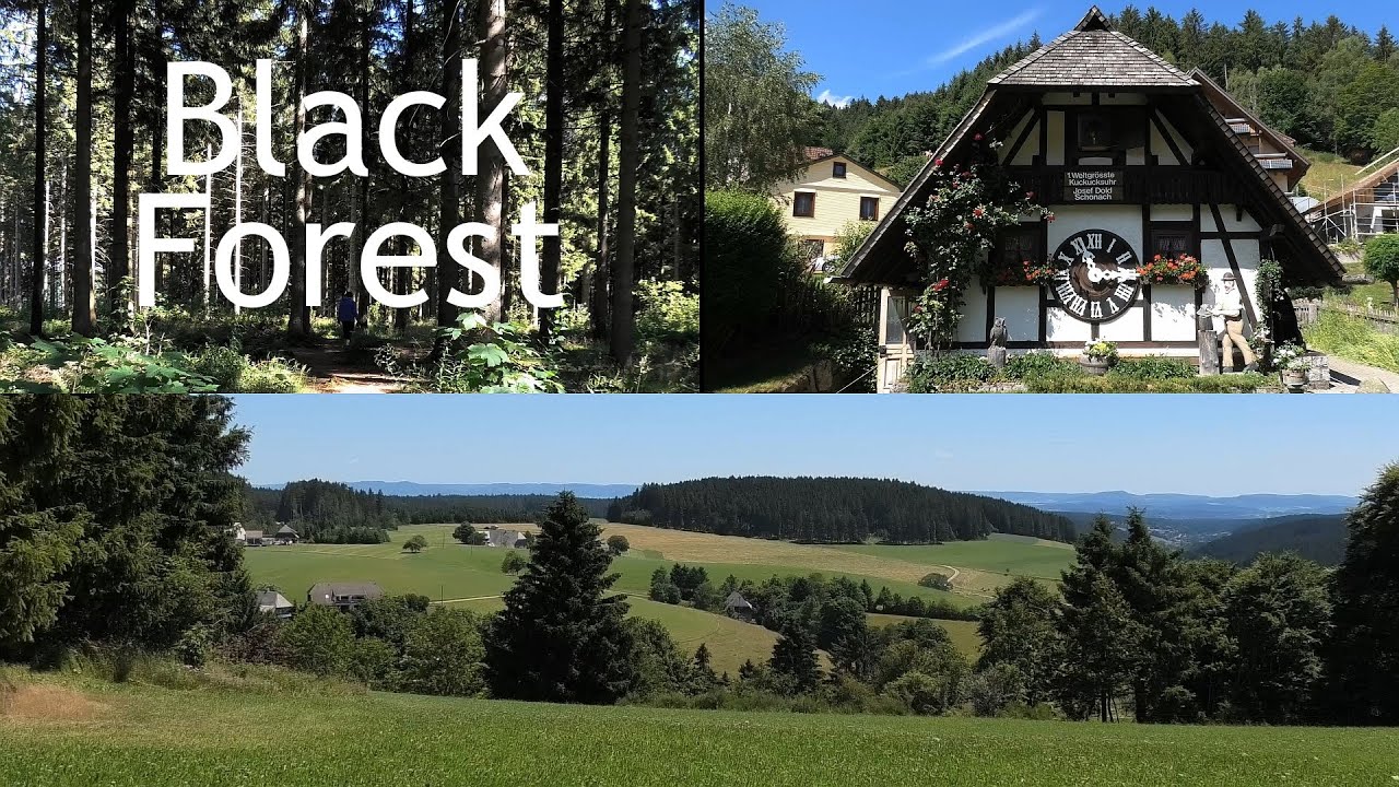 GERMANY: Black Forest, sights & scenery 4K