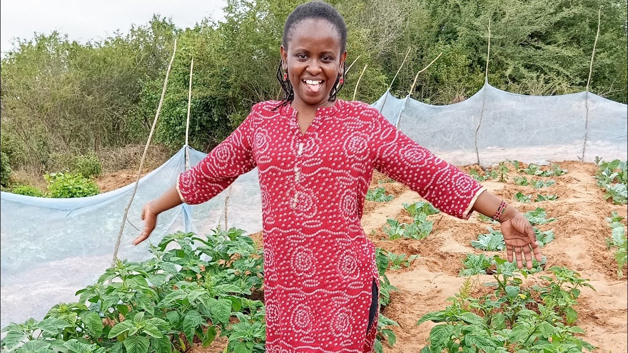 Lomanya Africa is live!