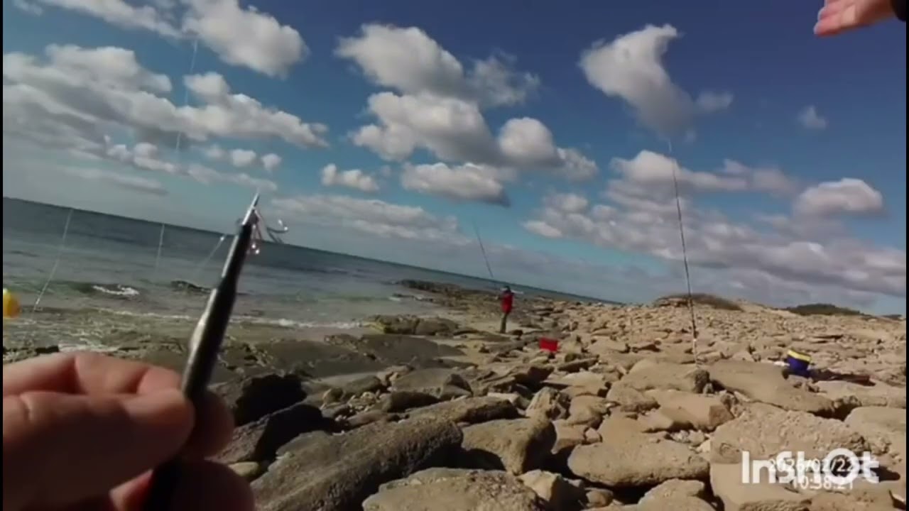 A pesca di 