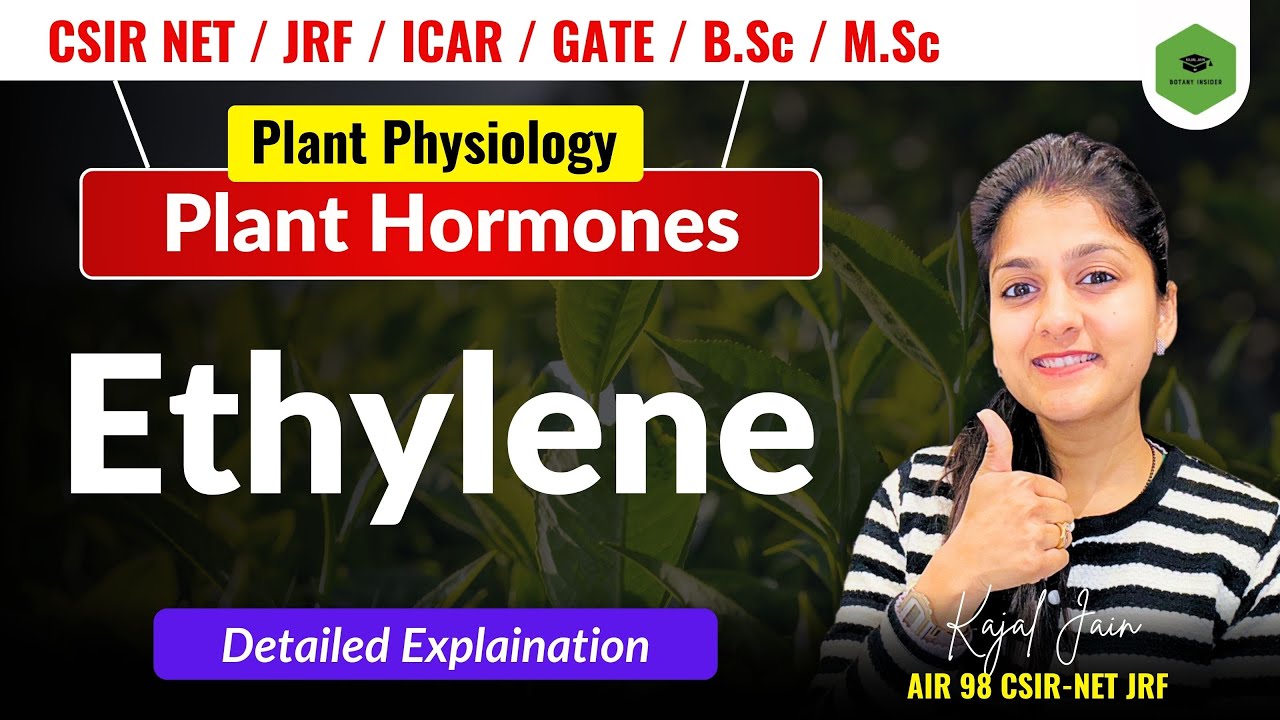 Plant Hormone- Ethylene| Introduction |Biosynthesis| Triple response |Signalling | CSIR-NET JRF II