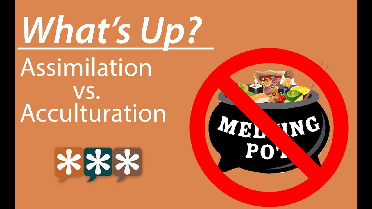 What's Up? &ndash; Assimilation vs. Acculturation