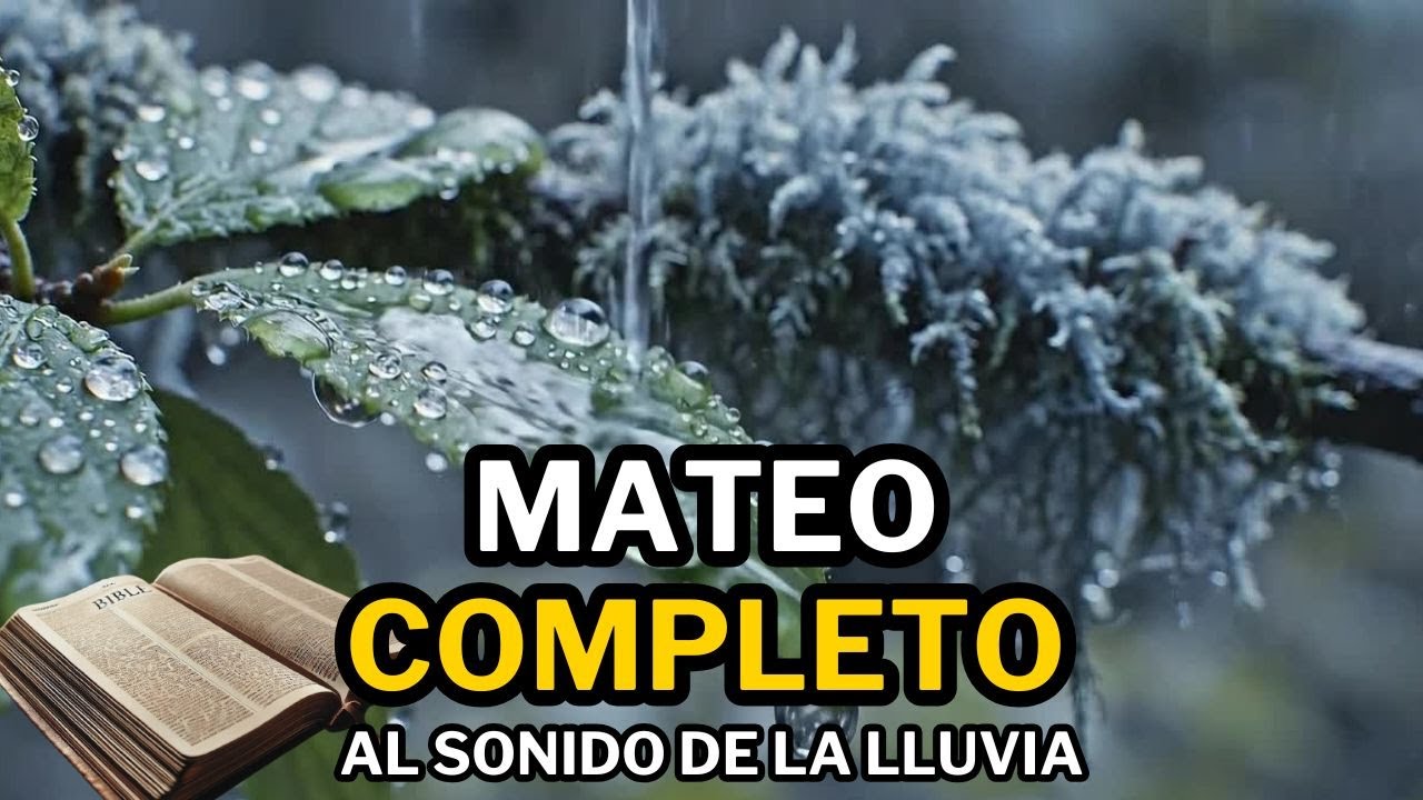 Evangelio seg&uacute;n Mateo al sonido de la LLUVIA | RVR1960 | Biblia Hablada 4k 🌧️