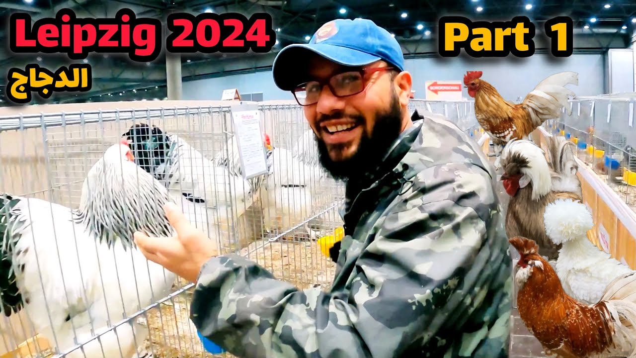 معرض لايبزغ 2024  Part 1 قسم الدجاج