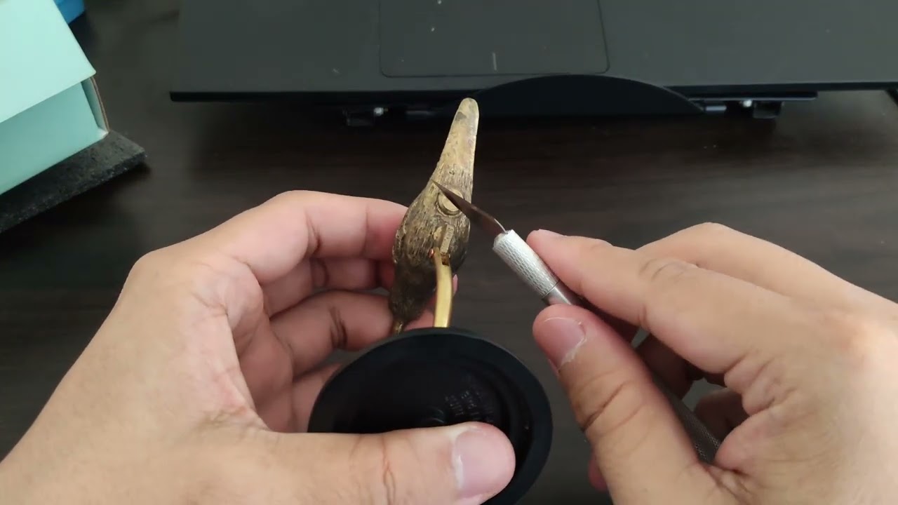 Bird lighter installation tutorial