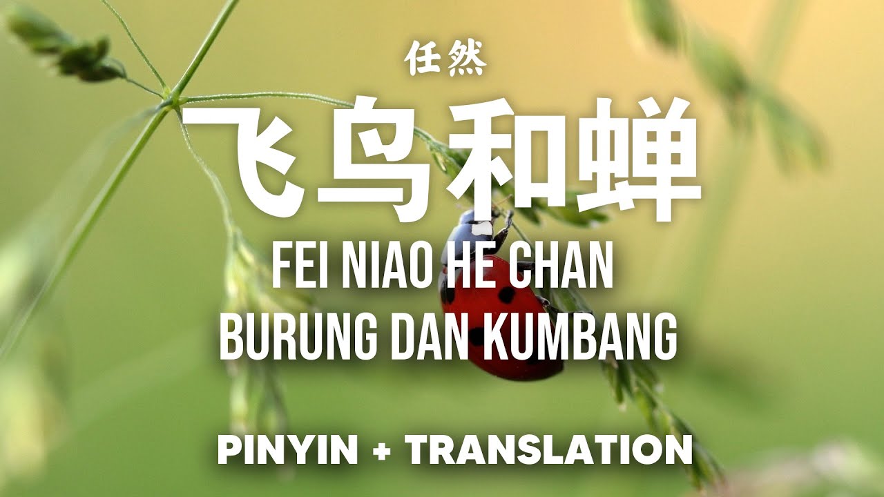 Fei Niao He Chan 飞鸟和蝉 - 任然 RenRan [Pinyin + Translate]