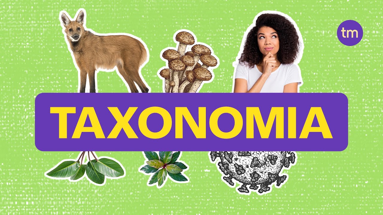Taxonomia | Como classificar os seres vivos