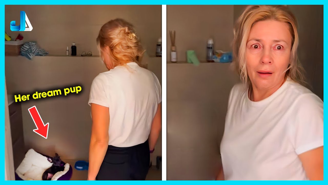 💕 She Never Expected a Puppy to Walk Into the Room 🐶 New Puppy Surprise Compilation
