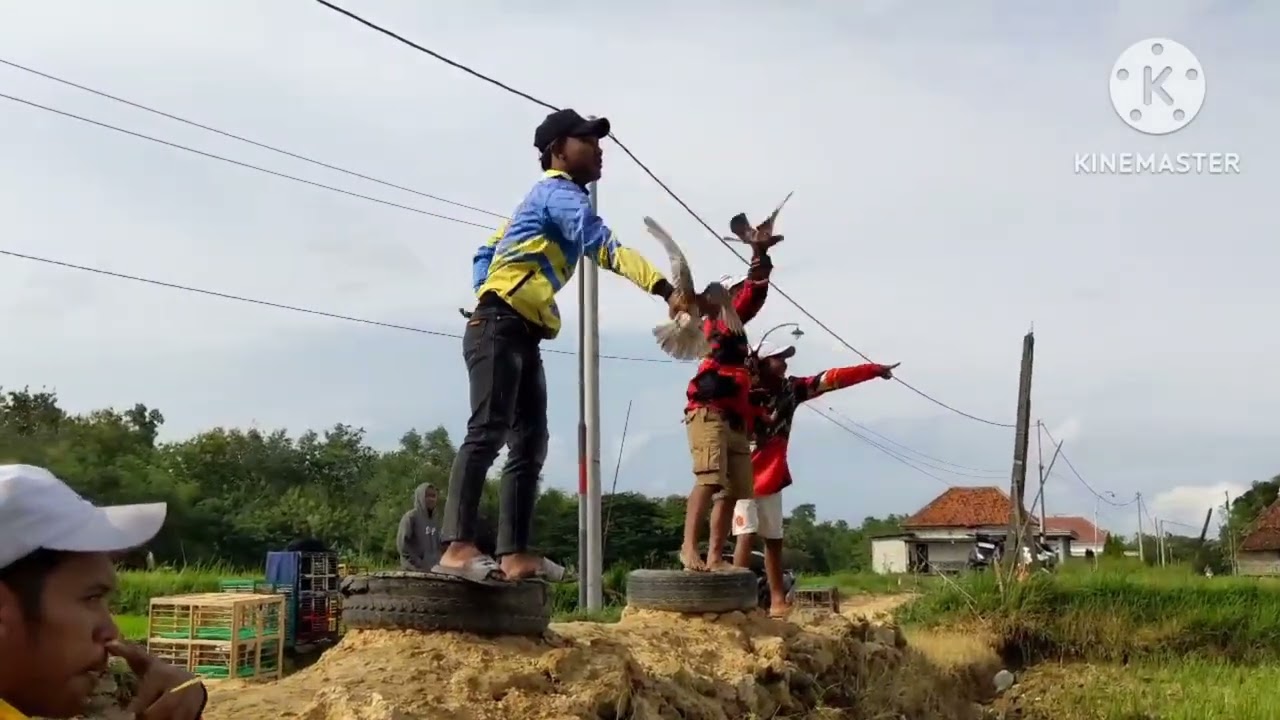 Ramadhan cup lapangan tambelngan!!! Lomba balap merpati