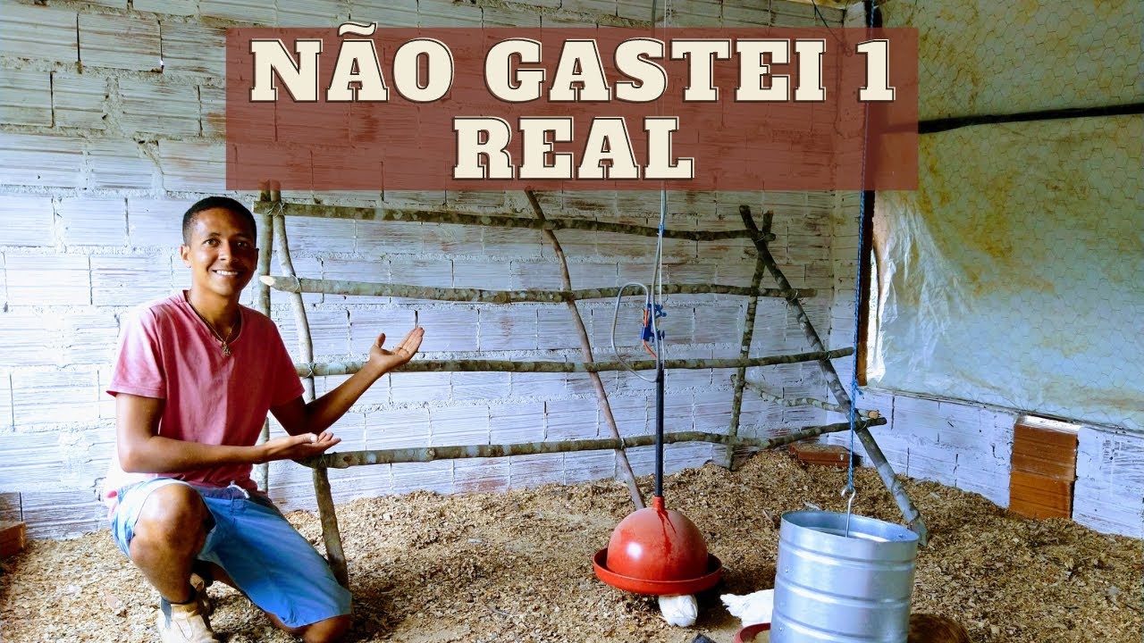 Poleiro Para Galinhas Poedeiras BARATO e FUNCIONAL
