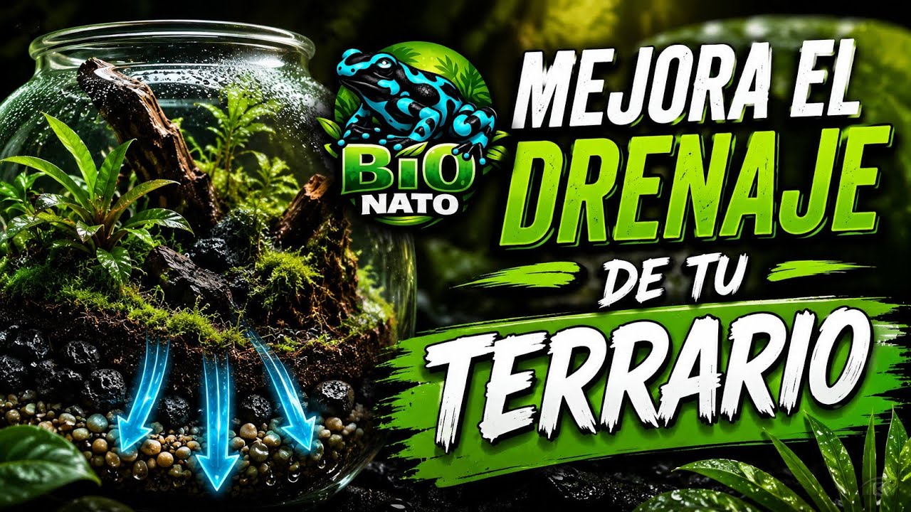 Terrario más ligero! mejora el falso fondo y drenaje de tu terrario