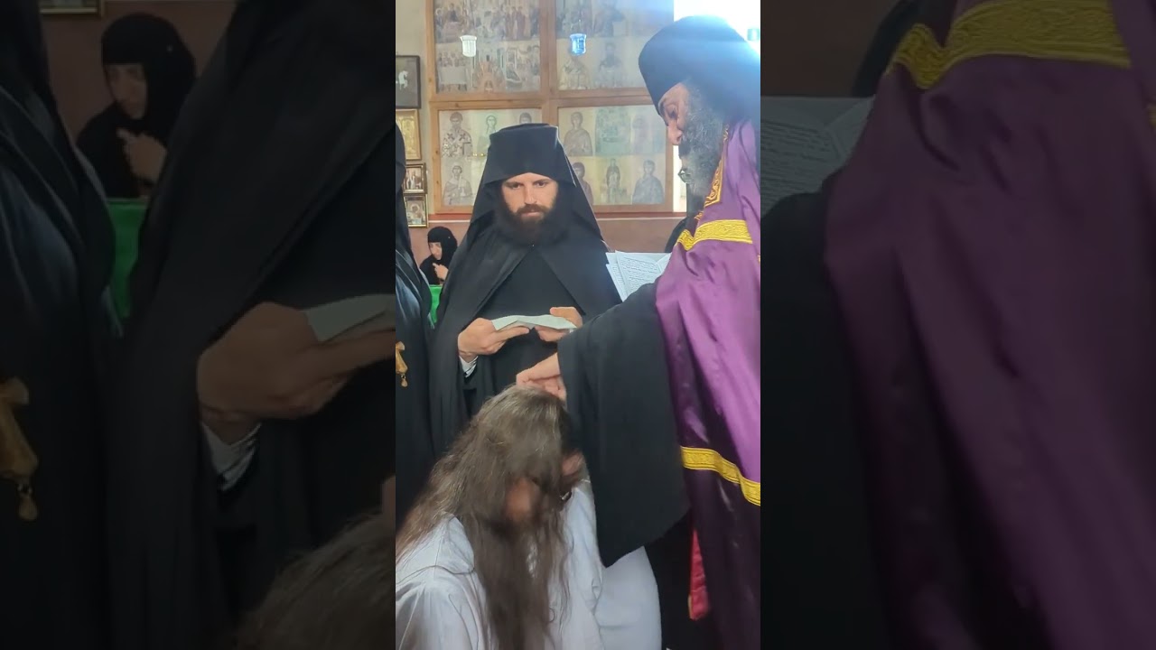 მონოზვნად აღკვეცა