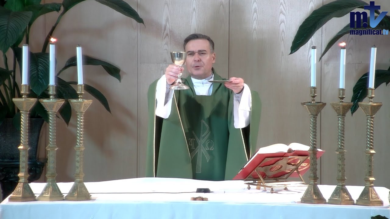 La Santa Misa de Hoy | Martes XXVIII del Tiempo ordinario (14-10-2025) | Pbro. Javier Martín, FM
