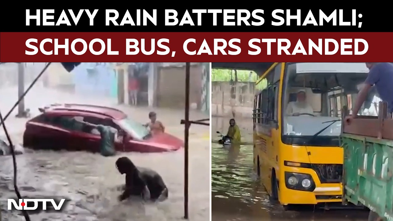 UP Rain News | Shamli Flood Chaos: School Bus Stuck, Cars Trapped As Rain Brings City To Standstill