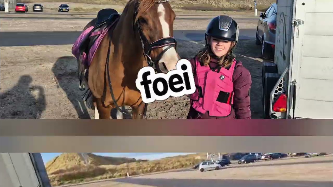 Naar het strand🐎