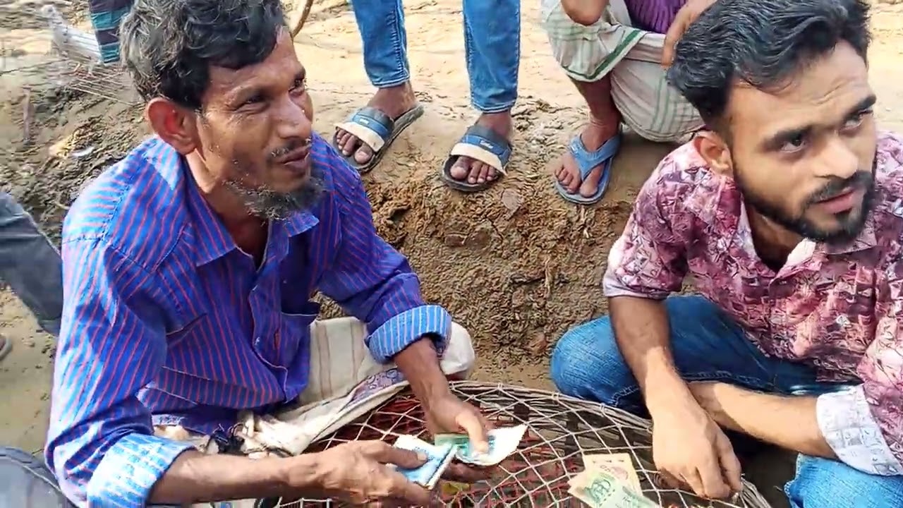 সোমবার তুলসীহাট কবুতর হাট