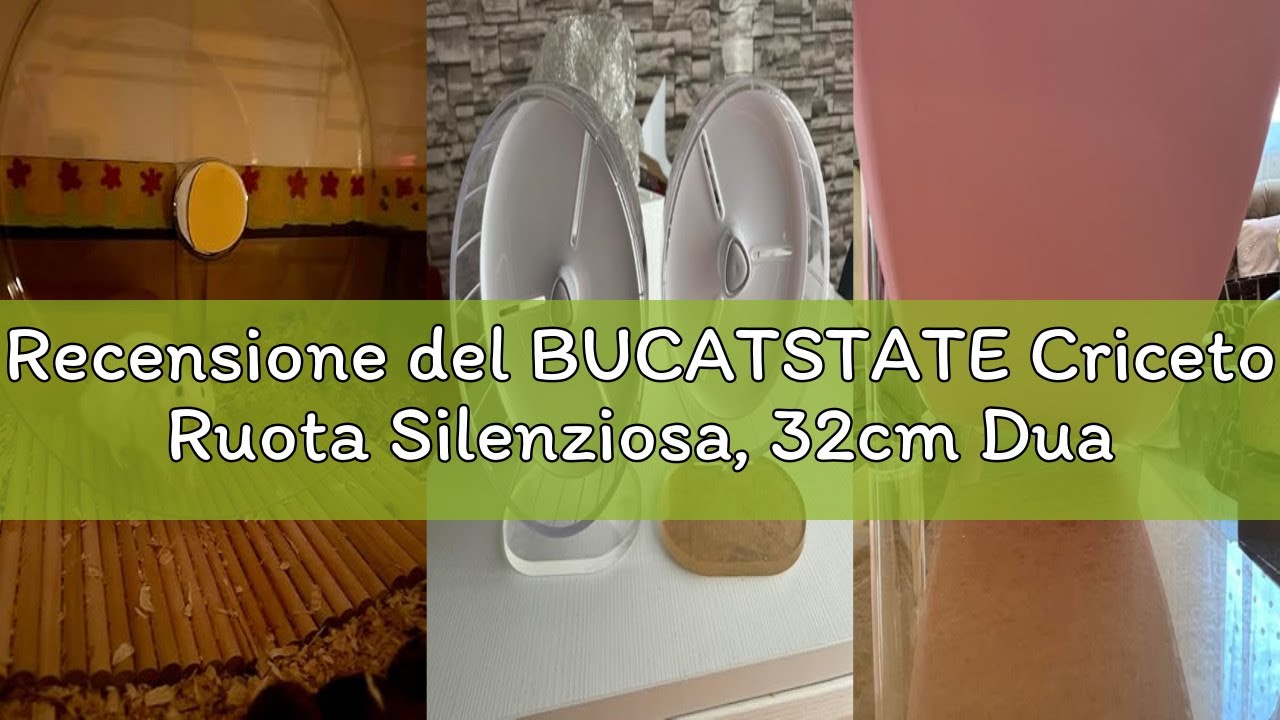 Recensione del BUCATSTATE Criceto Ruota Silenziosa, 32cm Dual-Bearing Criceto Esercizio Ruota Tranqu