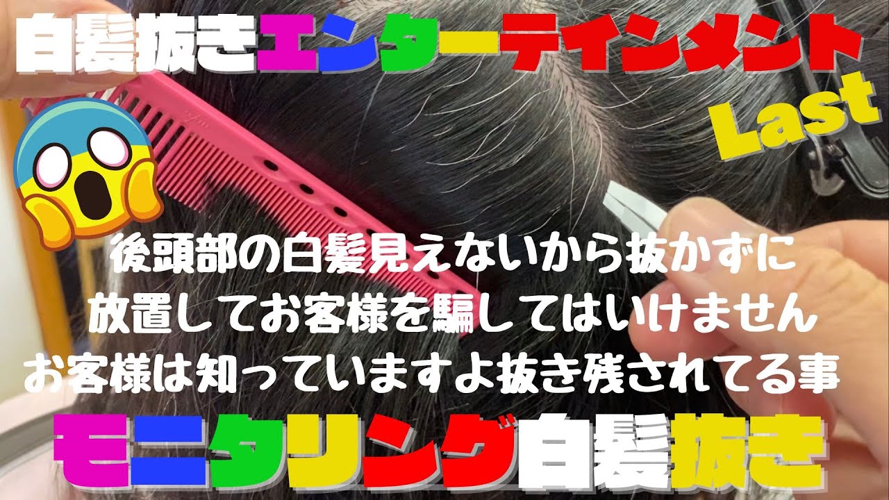 【白髪抜き動画】右後頭部の白髪をガンガン抜きます！モニタリング白髪抜きは無料にてご利用になられます、お問い合わせお待ちしております。