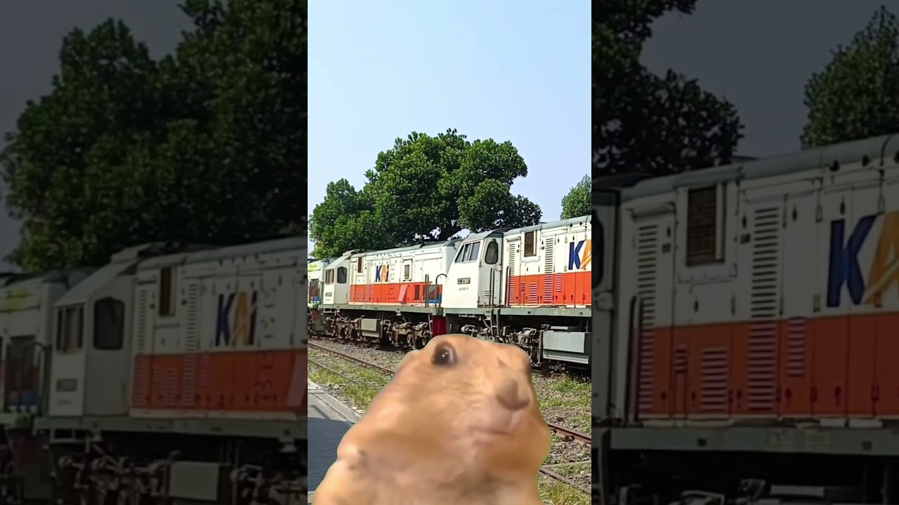 expresi Pertama Kalinya hunting Ketemu Triple Traksi #tripletraksi #balaiyasa #locomotive