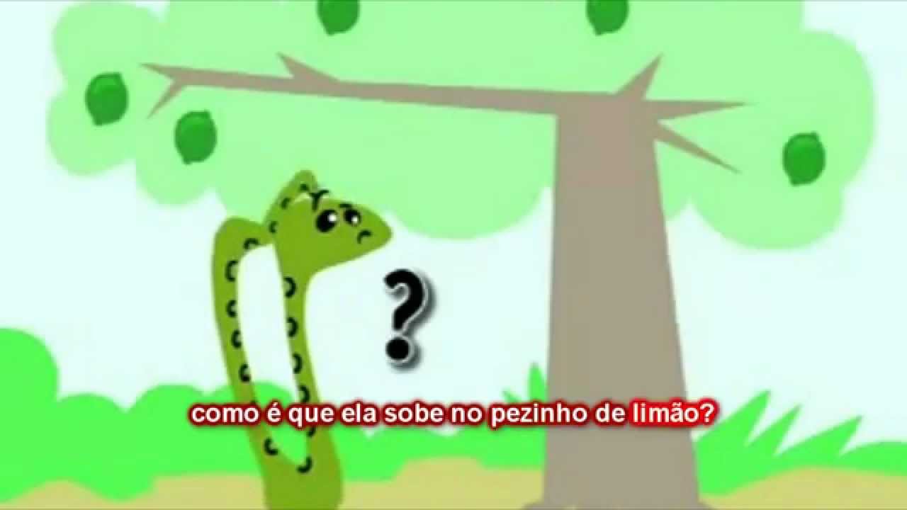 Vai Lim&atilde;ozinho!