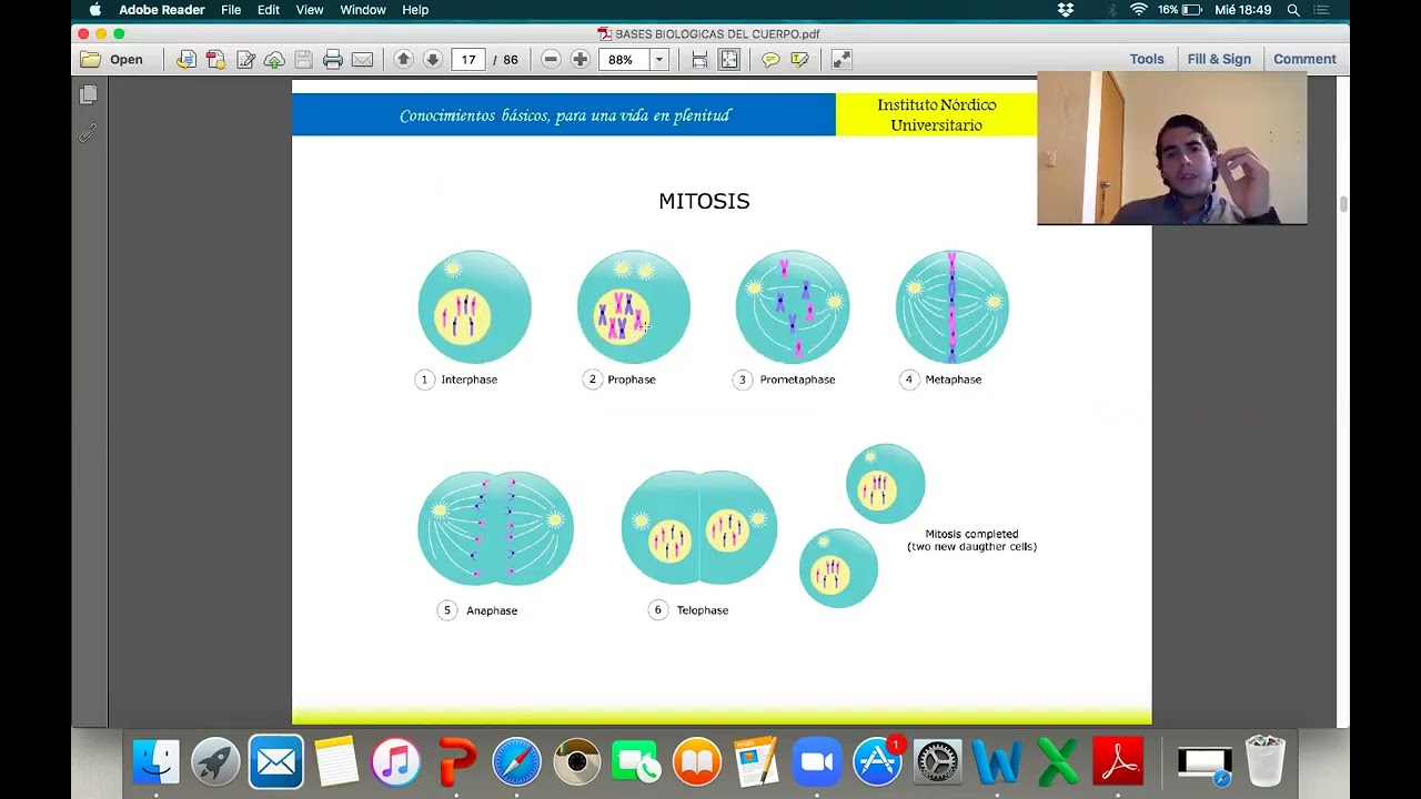 Bases Biológicas parte 1   MarianSpa.Com