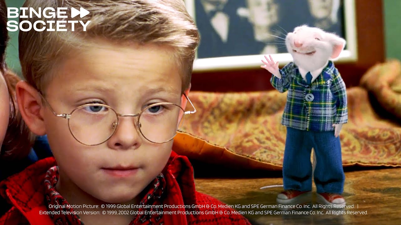 Stuart Little: No es lo que esperaba