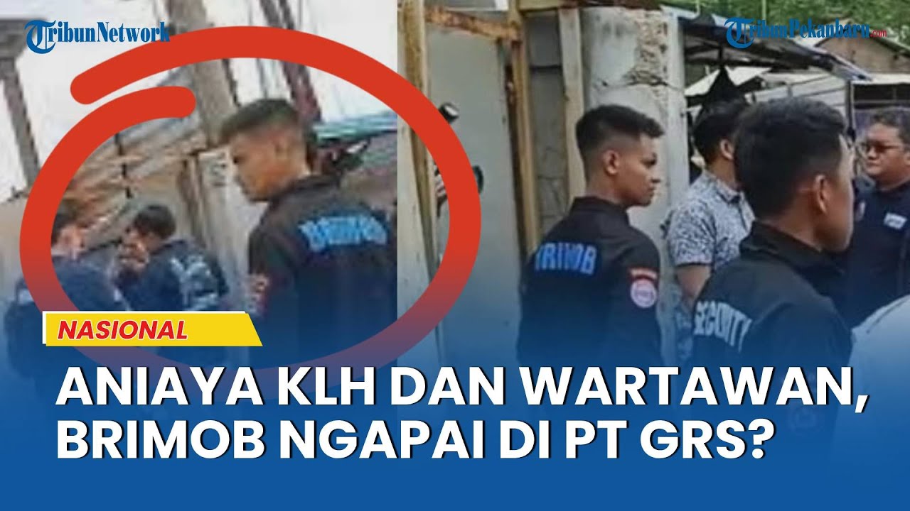 DUA Anggota Brimob Tersangka Pengeroyokan KLH dan Wartawan, Kapolda Ungkap Peran Aparat di PT GRS