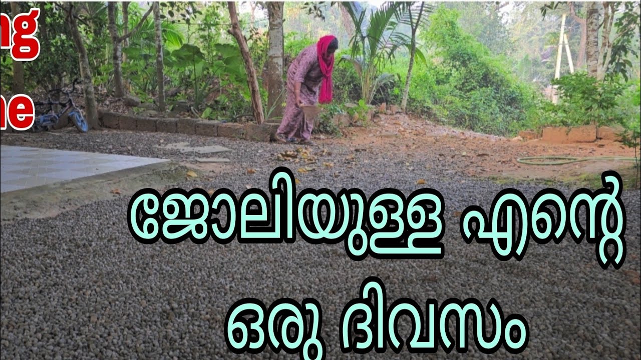 തിരക്ക് പിടിച്ച എന്റെ ഒരു ദിവസം 