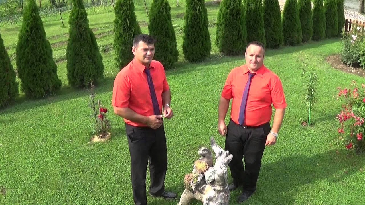 Suceske barabe - Jos me cure miluju po bradi - NOVO - (Official video 2015) HD