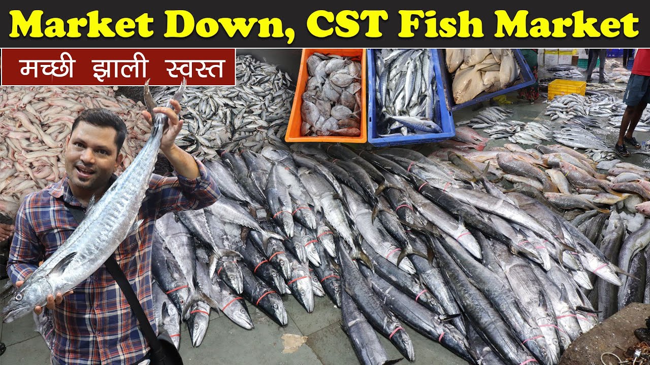 Starting Rs.40 | मच्छी झाली स्वस्त | Market Down | Wholesale fish market | CST Fish | Subhash Vanage
