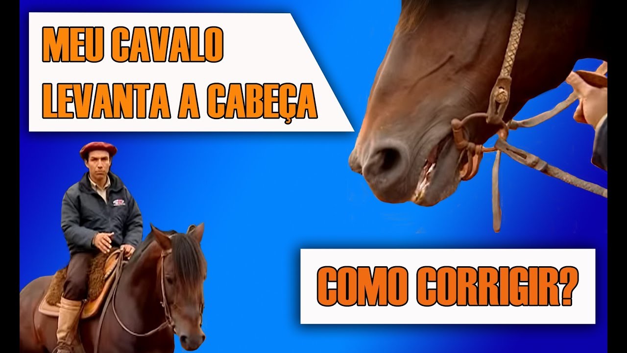 Como corrigir o vício de levantar a cabeça?