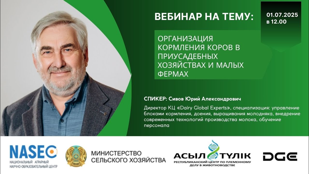 Организация кормления коров в приусадебных хозяйств и малых ферм