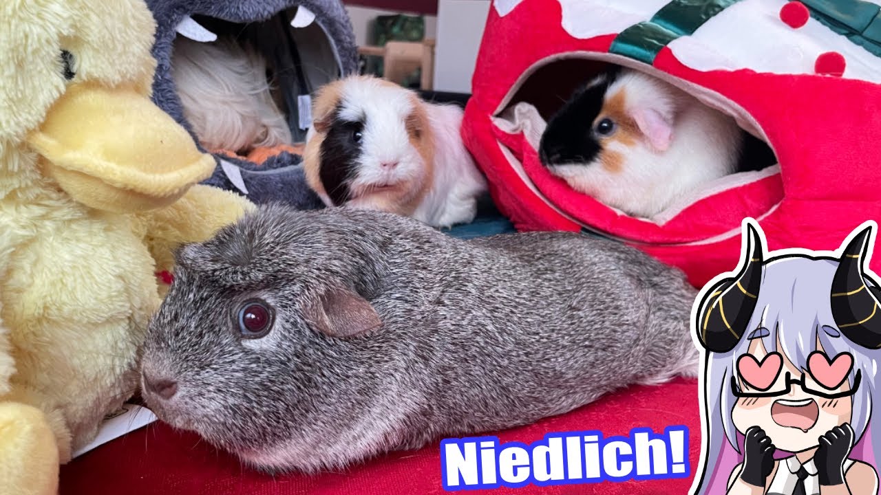 ❗️❗️❗️WARNUNG! Was könnte hier dran falsch sein? ❗️❗️❗️