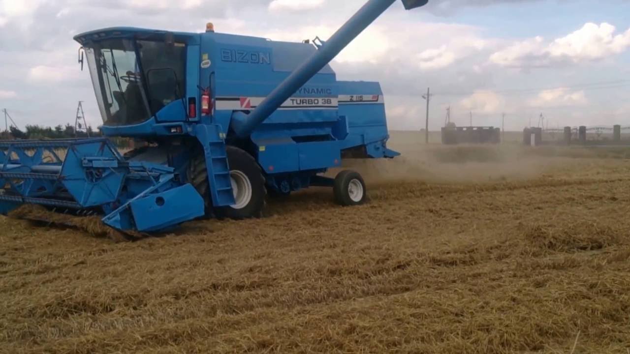 Żniwa 2016 Bizon Dynamic Z115 Turbo 3B