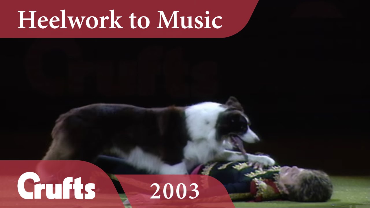 Heelwork To Music - Mary Ray's 2003 Performance | Crufts Dog Show