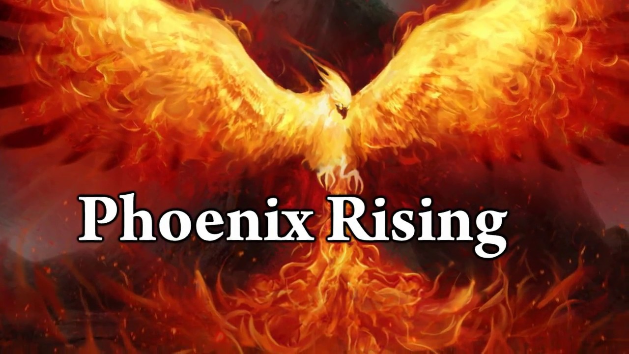 PHOENIX RISING - Guitar Playthrough! - Dan Johansen