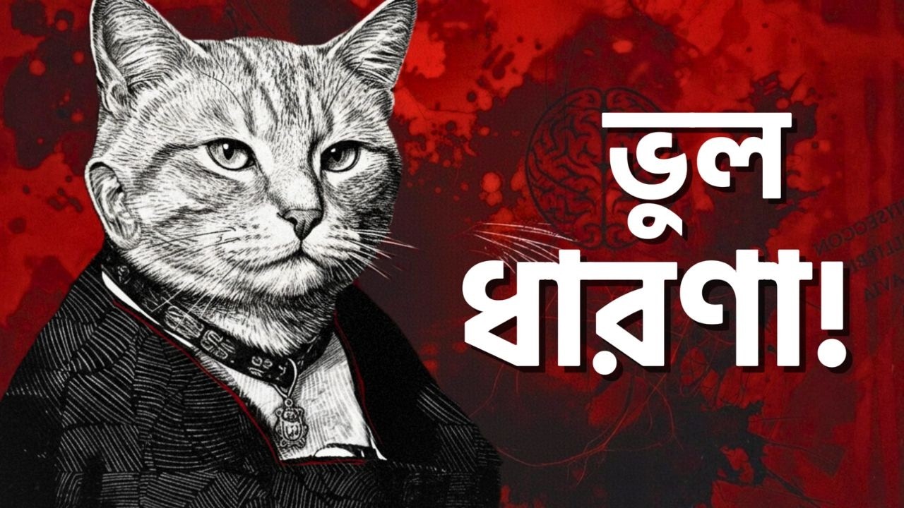 বিড়াল আপনাকে ভালোবাসে নাকি ব্রেইন কন্ট্রোল করছে? | The Dark Mystery of Cats