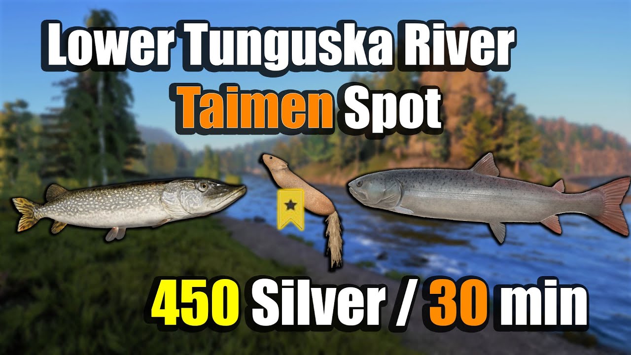 🎣Russian Fishing 4 RF4 - Lower Tunguska River Taimen Hot Spot#414