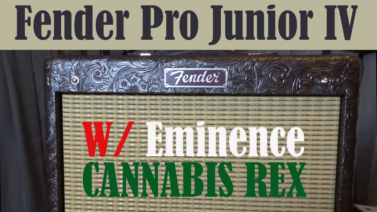 Fender Pro Junior IV with Eminence Cannabis Rex Speaker