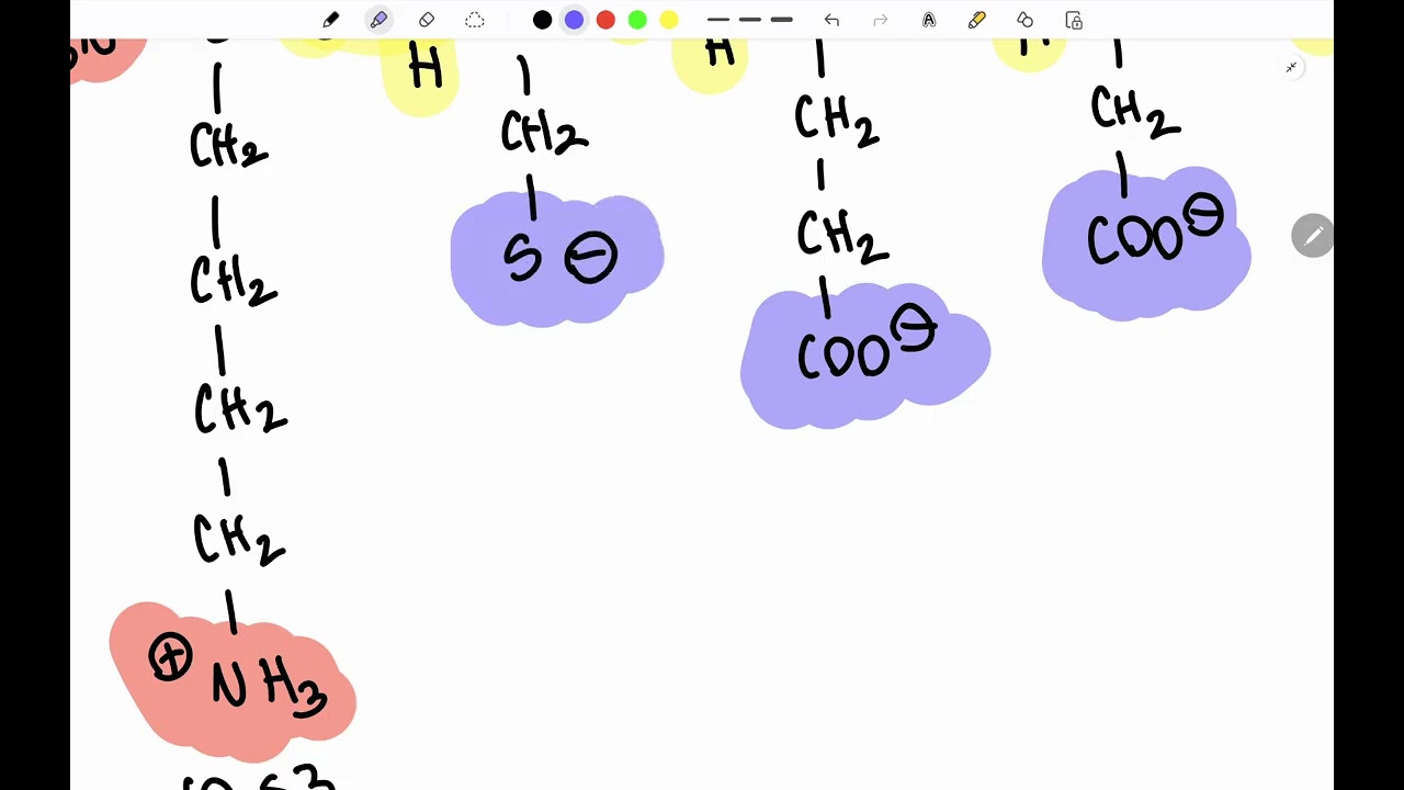 Cargas y punto isoelectrico de un peptido