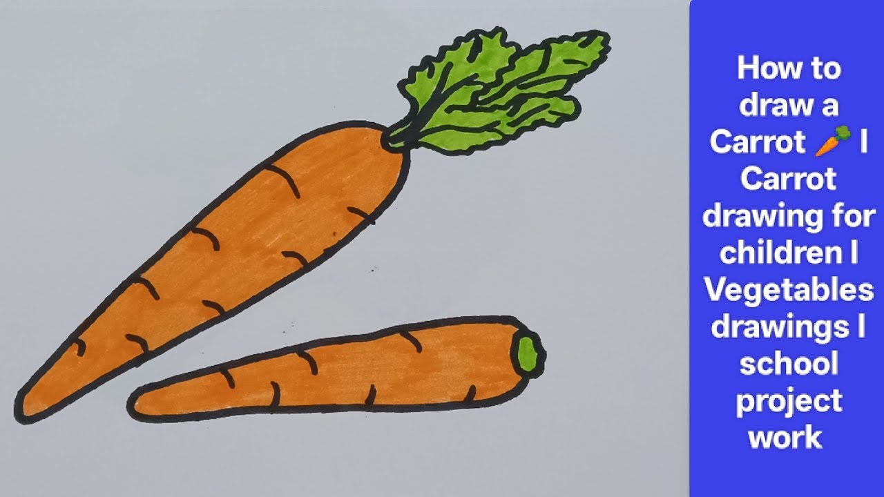 Carrot Drawing Step by Step | Easy Vegetable Drawing for School Projects l vegetabledrawingsforkids 
