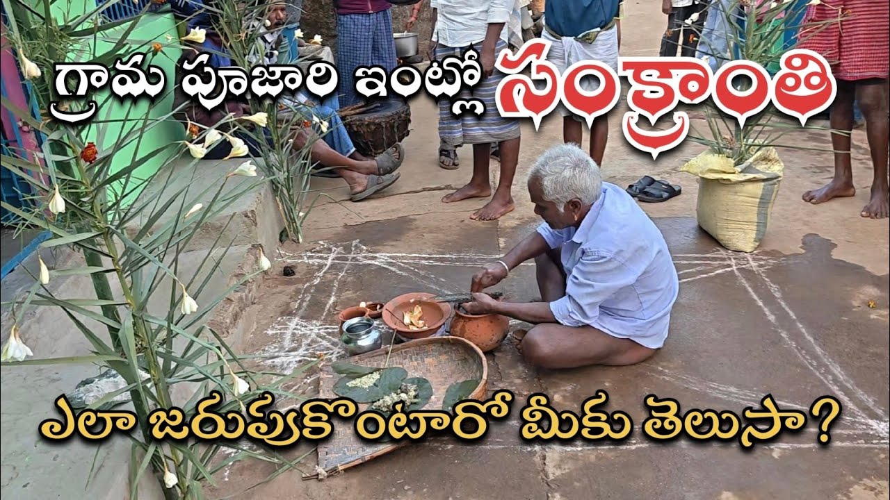 సంక్రాంతి పండగ గ్రామపూజారి ఇంట్లో ఇలా జరుపుకొంటారు sankranthi fest in village priest home