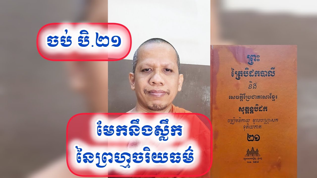 មហាសារោបមសូត្រ,មែកនឹងស្លឹកនៃព្រហ្មចរិយធម៌