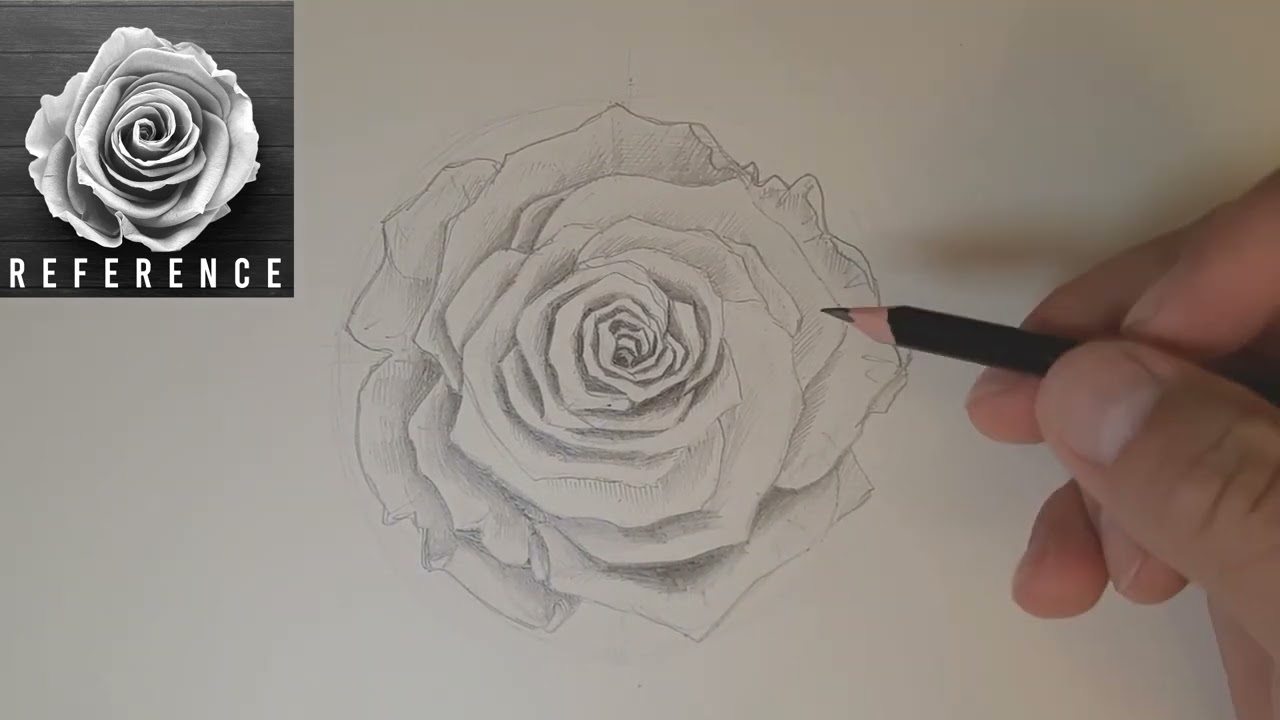 How To Draw A Rose with Mechanical Pencil and #2 HB Pencil (How to Draw a Rose)