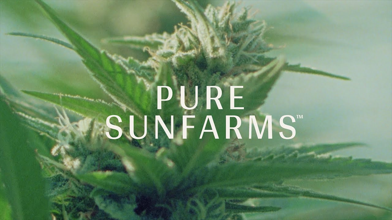 Episode 1. Welcome to Pure Sunfarms