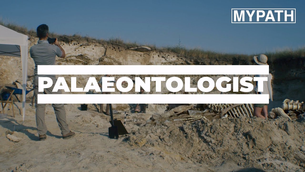 JOB OF THE WEEK - EPISODE #130 - PALAEONTOLOGIST