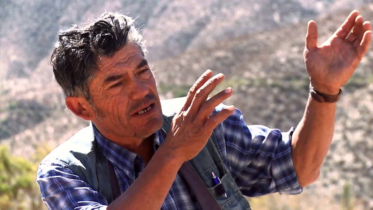 Crianceros del Choapa realizan veranadas en campos de Los Pelambres