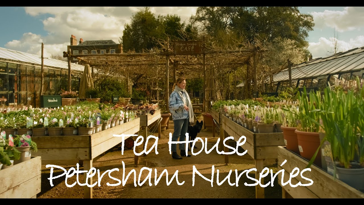 Petersham Nurseries Tea House